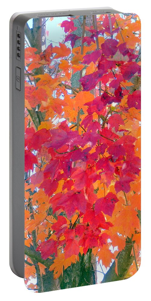 Leaves Portable Battery Charger featuring the photograph Colorful Autumn Leaves by Carla Parris