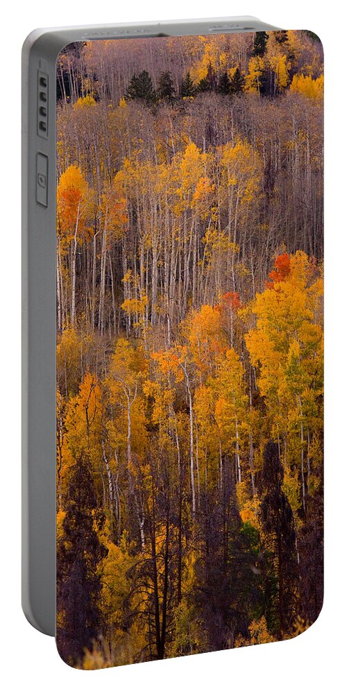 Vertical Portable Battery Charger featuring the photograph Colorful Colorado Autumn Landscape Vertical Image by James BO Insogna