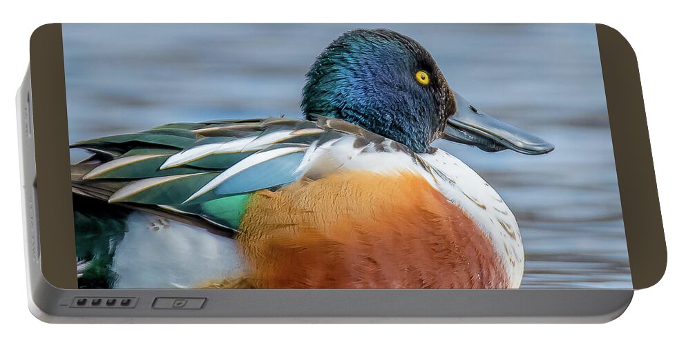 20170128 Portable Battery Charger featuring the photograph Colorful Male Northern Shoveler Close-Up by Jeff at JSJ Photography