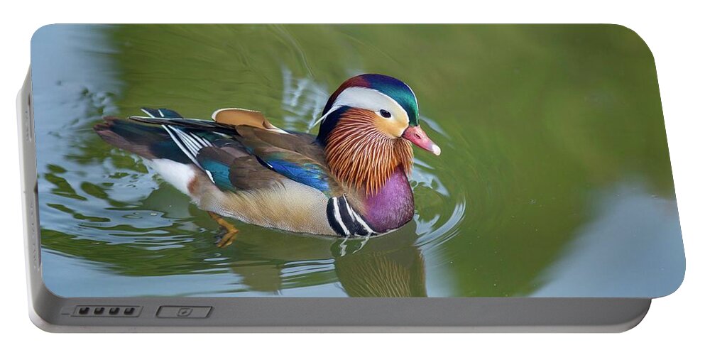 Colorful Mandarin Duck 2 Portable Battery Charger featuring the photograph Colorful mandarin duck 2 by Lynn Hopwood