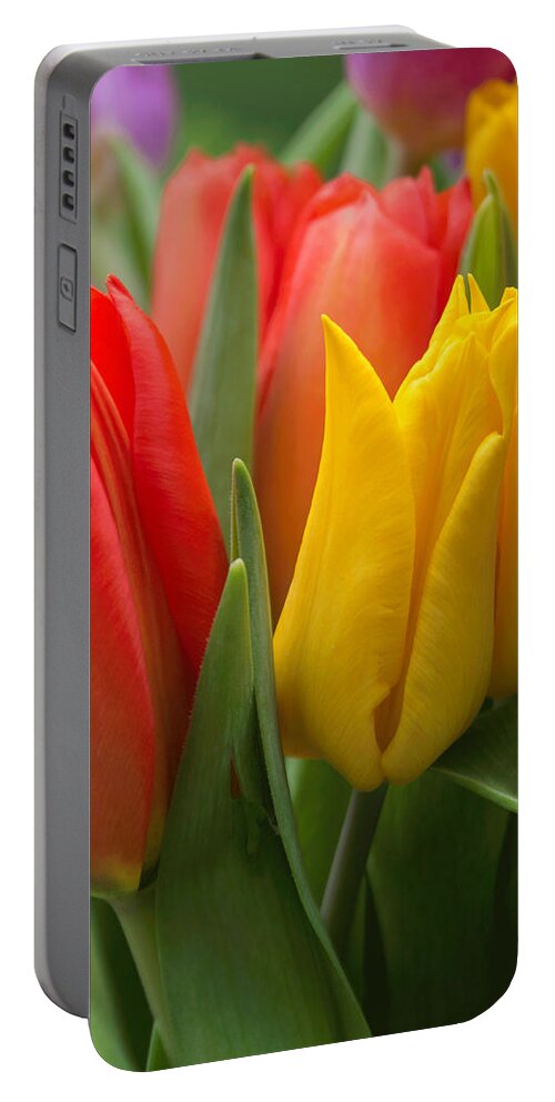 Tulip Portable Battery Charger featuring the photograph Colorful Tulip Bouquet by Arlene Carmel