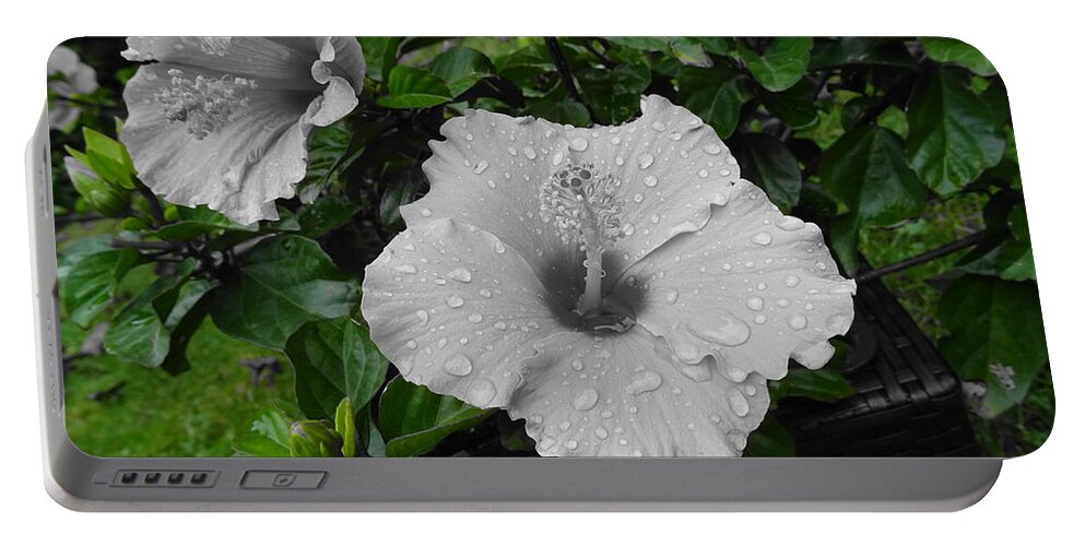Flower Portable Battery Charger featuring the photograph Colorless Blossom by Maximilian Weber