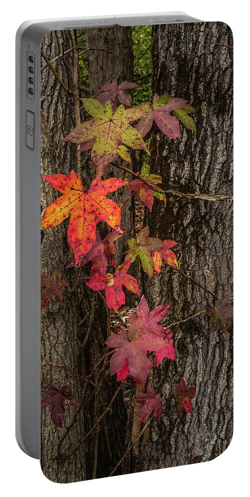 Fall Portable Battery Charger featuring the photograph Colors Of Fall by Randall Evans