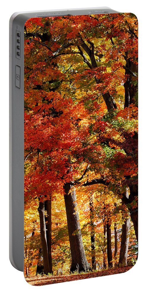 Fall Portable Battery Charger featuring the photograph Colors of Fall by William Selander