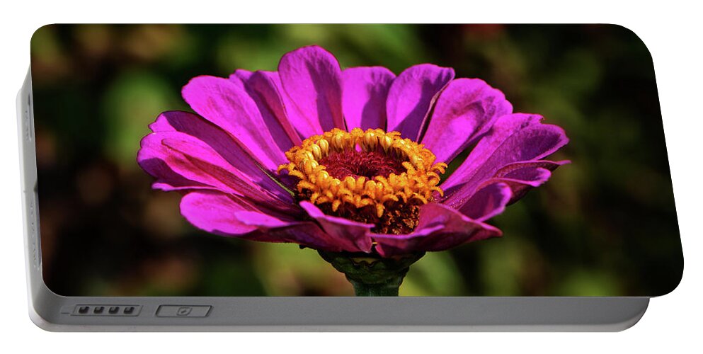 Purple Portable Battery Charger featuring the photograph Colors Of Nature 028 by George Bostian