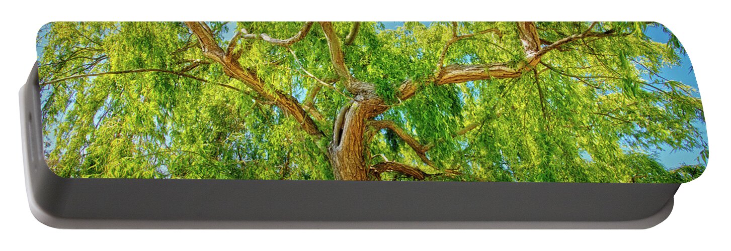 Mad About Wa Portable Battery Charger featuring the photograph Colour of Life, Yanchep National Park by Dave Catley