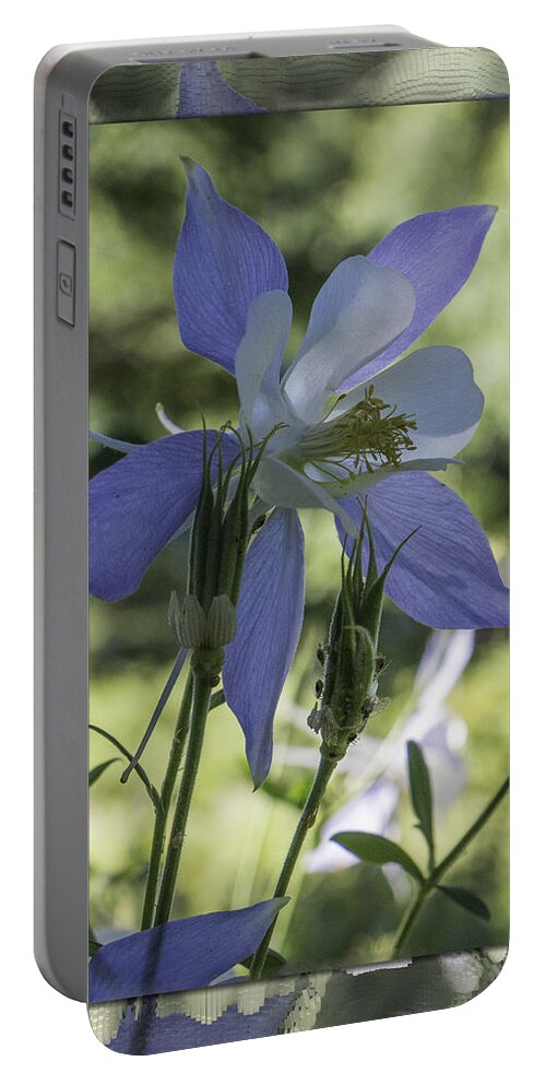 Chris Thomas Portable Battery Charger featuring the photograph Columbine with Styalized Border by Chris Thomas