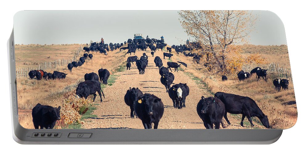 Black Angus Portable Battery Charger featuring the photograph Coming Down the Road by Todd Klassy
