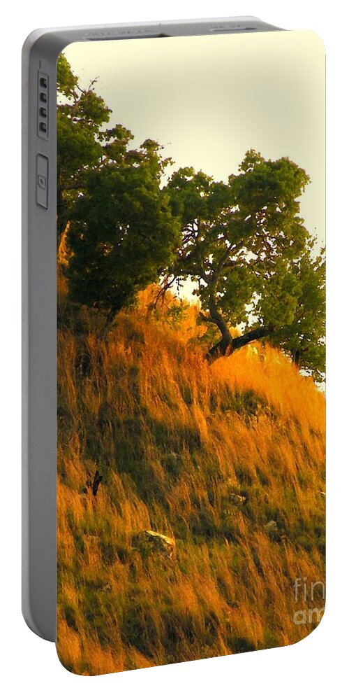 Landscape Portable Battery Charger featuring the photograph Coming Home Again by Joe Pratt