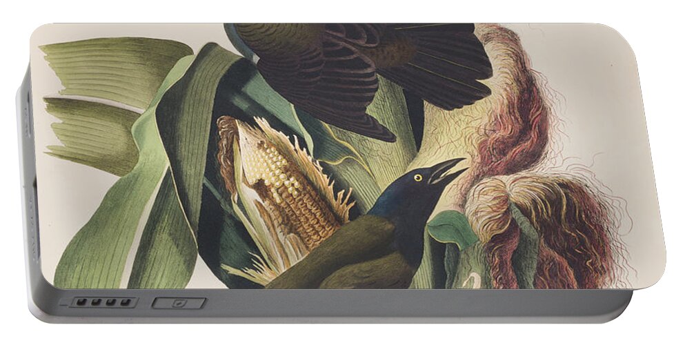 Crow Portable Battery Charger featuring the painting Common Crow by John James Audubon