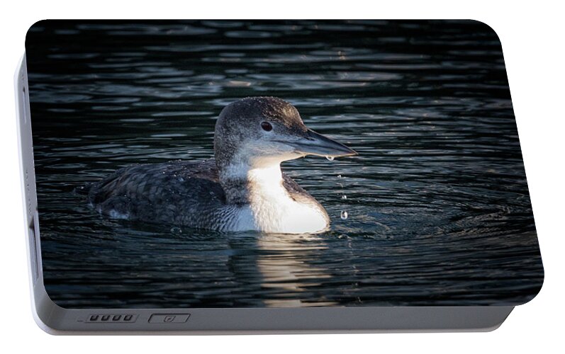 Common Loon Portable Battery Charger featuring the photograph Common Loon by Randy Hall