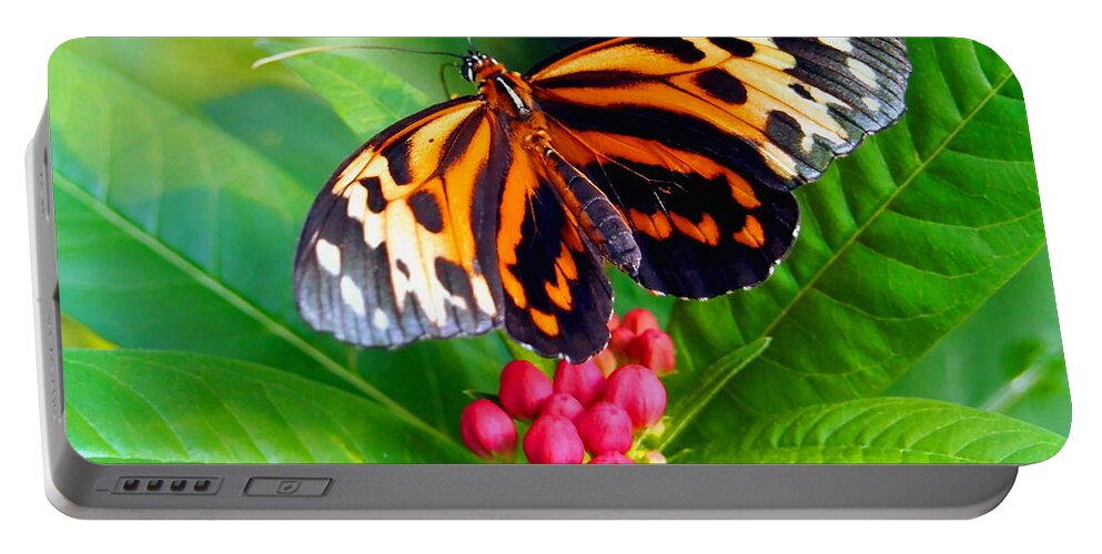 Nature Portable Battery Charger featuring the photograph Common Tiger Glassywing Butterfly by Amy McDaniel