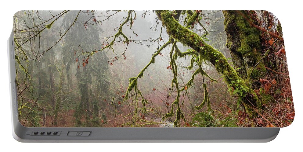 Landscapes Portable Battery Charger featuring the photograph Mist In The Forest by Claude Dalley