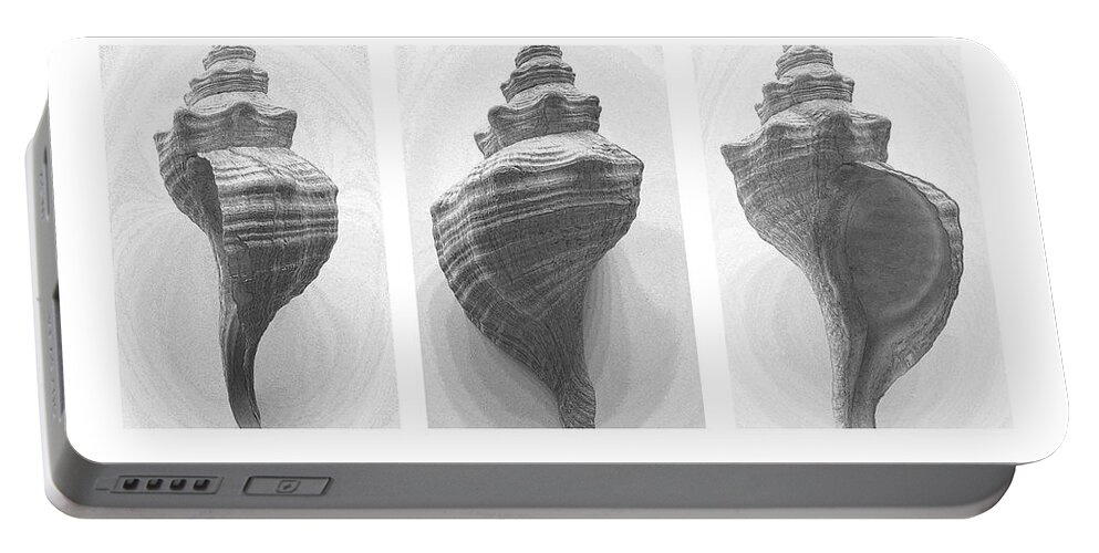 Conch Portable Battery Charger featuring the photograph Conch Erotica by John Bartosik