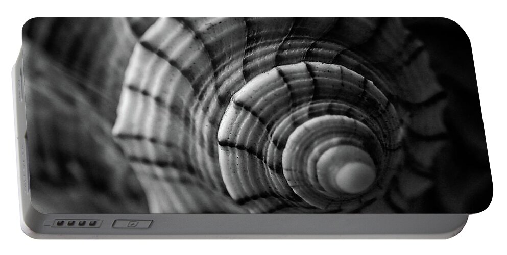 Conch Portable Battery Charger featuring the photograph Conch Shell In Black And White by Greg and Chrystal Mimbs