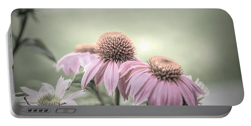 Pink Cone Flowers Portable Battery Charger featuring the photograph Cone Flowers Dream by Mary Timman