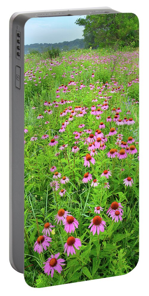Black Eyed Susan Portable Battery Charger featuring the photograph Coneflower Corridor in Chain-o-Lakes SP by Ray Mathis