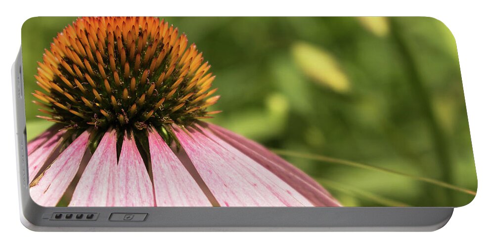 Wildflower Portable Battery Charger featuring the photograph Coneflower by Holly Ross