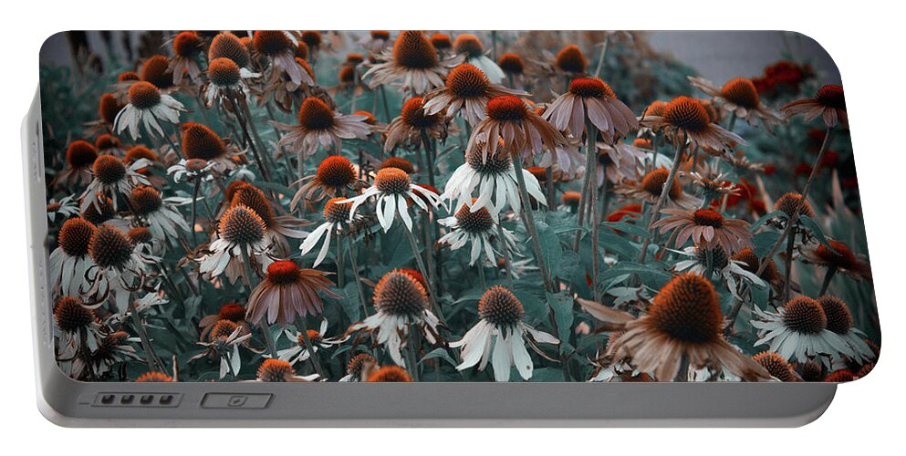 Landscape Portable Battery Charger featuring the photograph Coneflowers Bits of Torquise by Donna L Munro