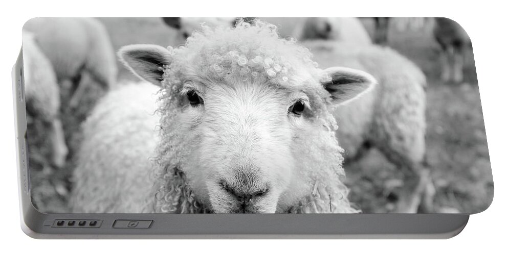 Ireland Portable Battery Charger featuring the photograph Contentment by Mountain Dreams
