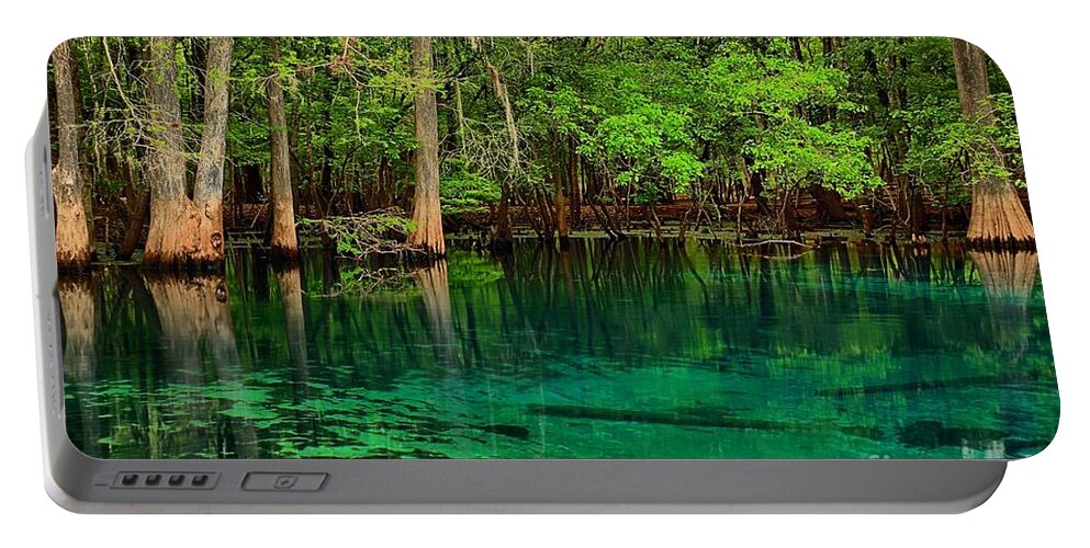 Manatee Spring Portable Battery Charger featuring the photograph Cool Blue Manatee Spring Waters by Adam Jewell