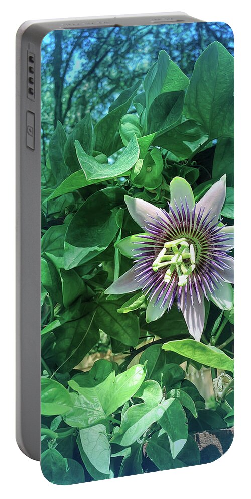 Passion Flower Portable Battery Charger featuring the photograph Cool Blue Passion Flower 3 by Aimee L Maher ALM GALLERY