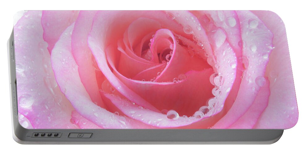 Rose Portable Battery Charger featuring the photograph Cool Candy Rose by Terence Davis