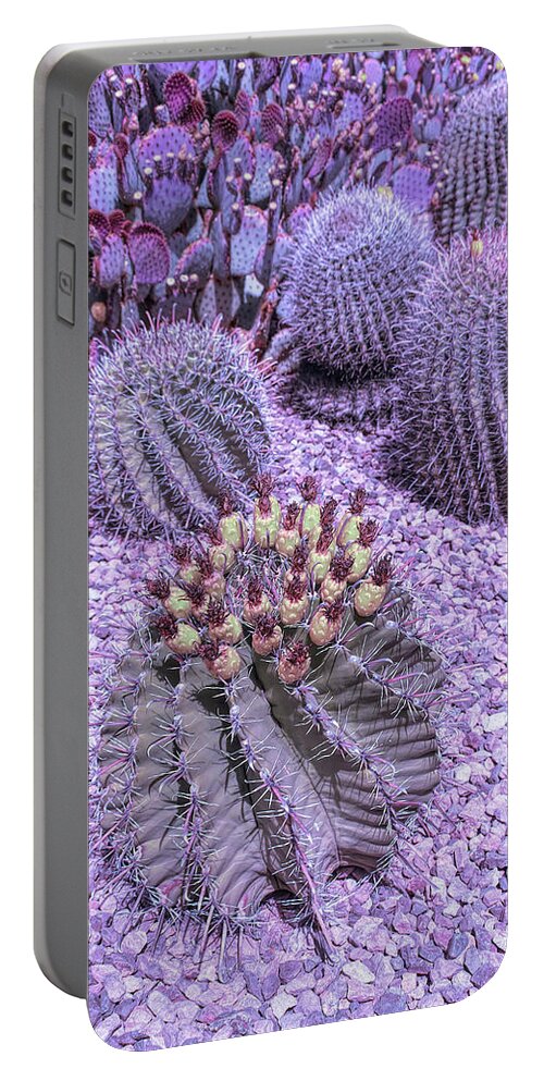 Desert Portable Battery Charger featuring the photograph Cool Sunset Desert Cacti by Aimee L Maher ALM GALLERY