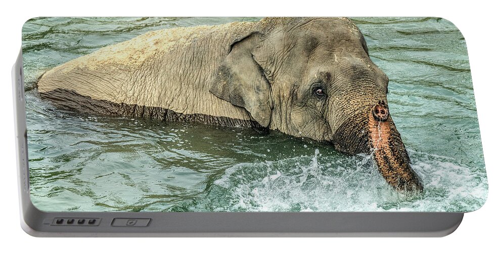 Elephant Portable Battery Charger featuring the photograph Cooling Off by William Bitman