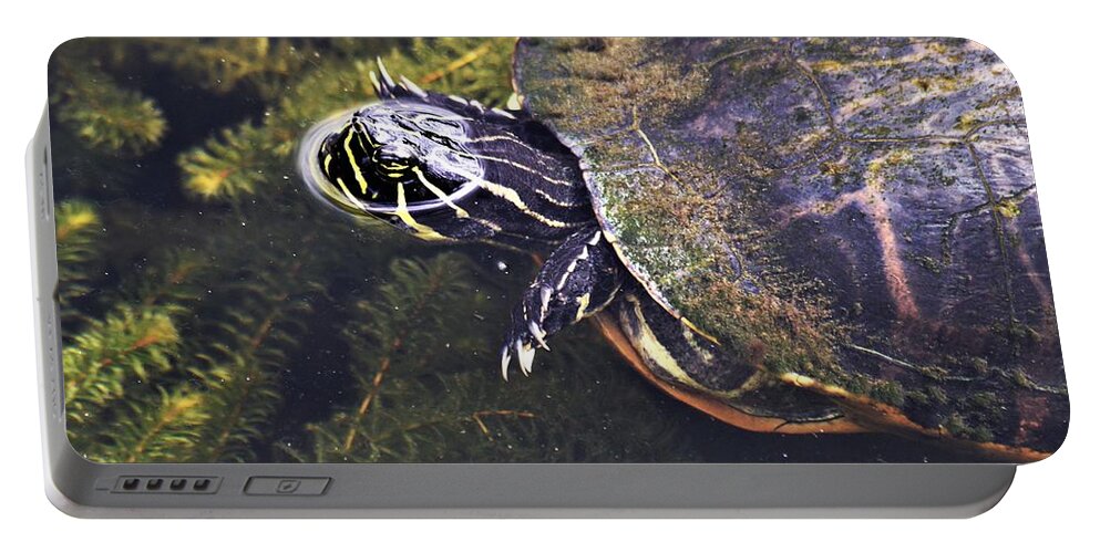 Cooter Swimming Portable Battery Charger featuring the photograph Cooter Swimming by Warren Thompson