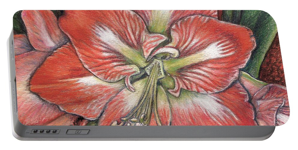 Salmon Portable Battery Charger featuring the pastel Salmon Amaryllis by Tara D Kemp