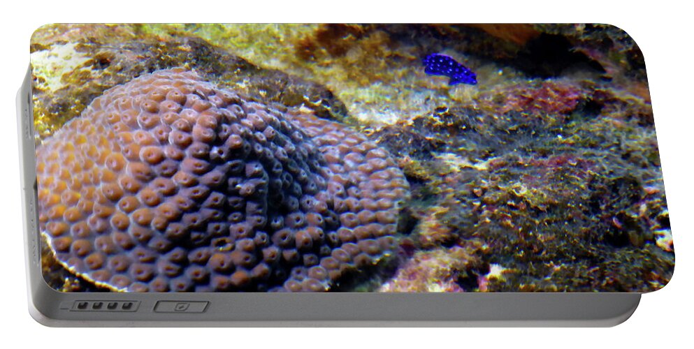 Coral Portable Battery Charger featuring the digital art Coral art CU 3 by Francesca Mackenney