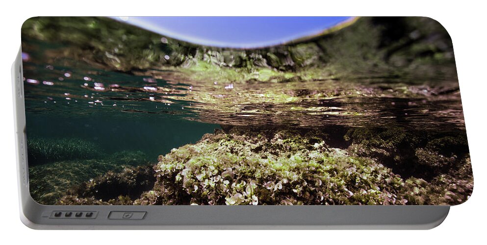 Underwater Portable Battery Charger featuring the photograph Coral Beauty by Gemma Silvestre