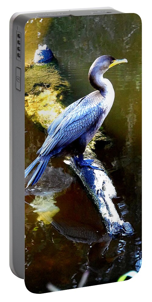 Double-crested Cormorant Portable Battery Charger featuring the photograph  Cormorant 002 by Christopher Mercer