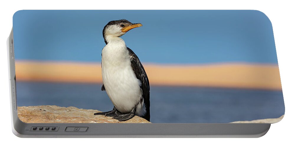 Australia Portable Battery Charger featuring the photograph Cormorant by Chris Cousins