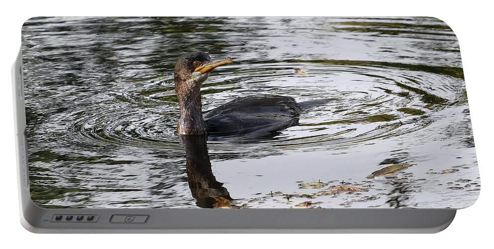 Bird Portable Battery Charger featuring the photograph Cormorant Fishing by Jeff Townsend