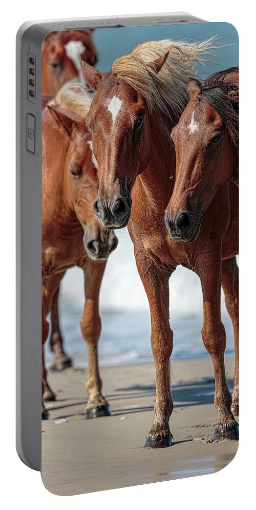 Wild Horse Portable Battery Charger featuring the photograph Corolla Horses VII by Glenn Woodell