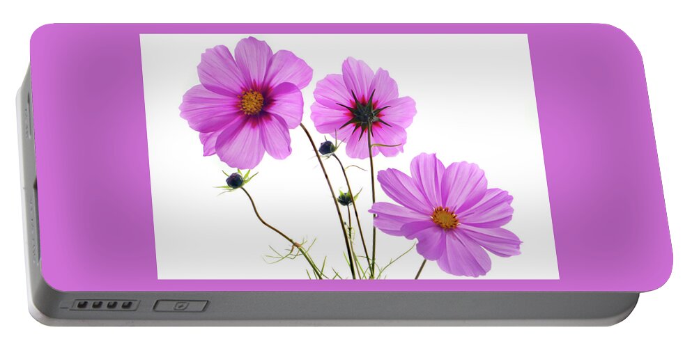 Cosmos Flowers Portable Battery Charger featuring the photograph Cosmos Trio by Terence Davis