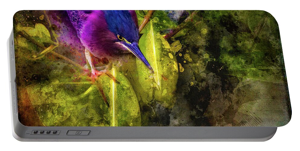 Costa Rica Portable Battery Charger featuring the photograph Costa Rican Heron by Doug Sturgess