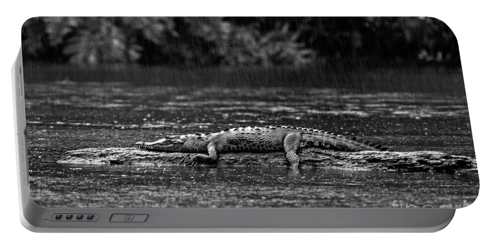 Black And White Portable Battery Charger featuring the photograph Costa_rica_25-17 by Craig Lovell