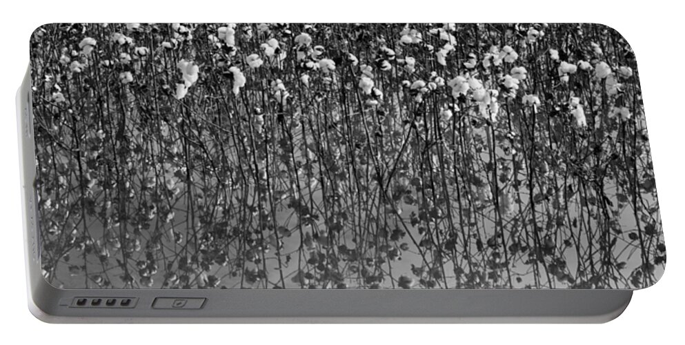 Cotton Portable Battery Charger featuring the photograph Cotton Abstract in Black and White by Kathy Clark