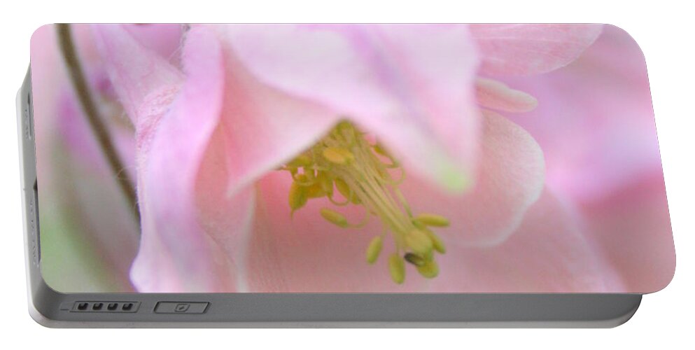 Flower Portable Battery Charger featuring the photograph Cotton Candy by Julie Lueders 