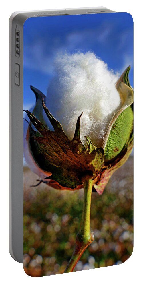 Cotton Pickin Portable Battery Charger featuring the photograph Cotton Pickin' by Skip Hunt