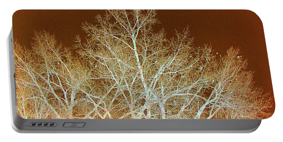 Cottonwoods Portable Battery Charger featuring the photograph Cottonwood Calligraphy by Cris Fulton