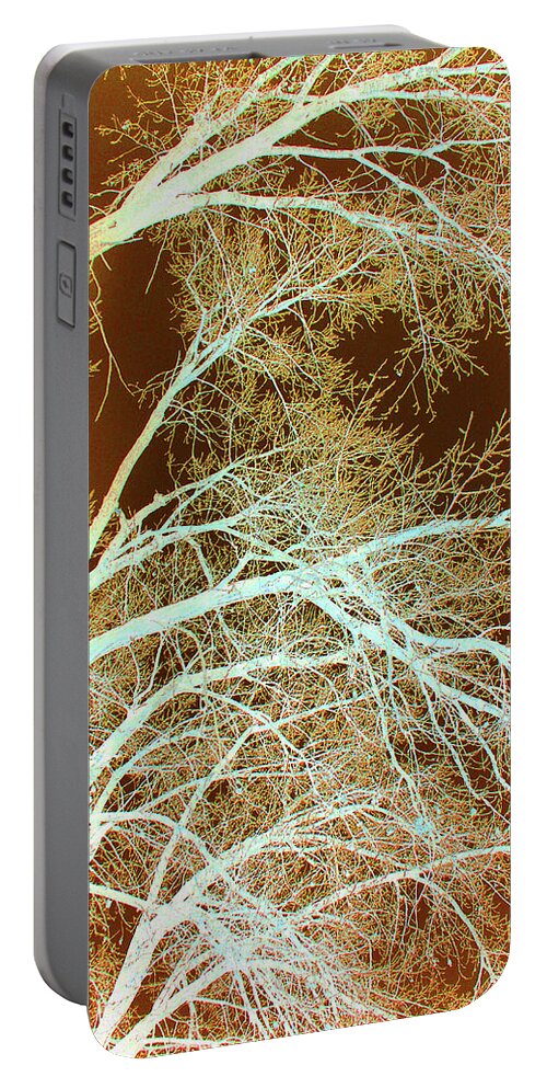 Cottonwoods Portable Battery Charger featuring the photograph Cottonwood Conflux by Cris Fulton