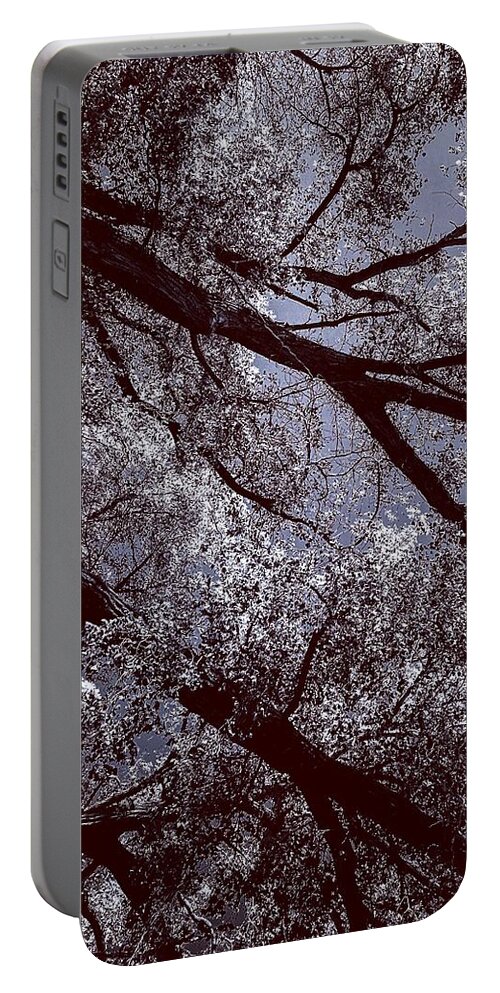 Purple Portable Battery Charger featuring the photograph Cottonwood Energies by Michael Oceanofwisdom Bidwell
