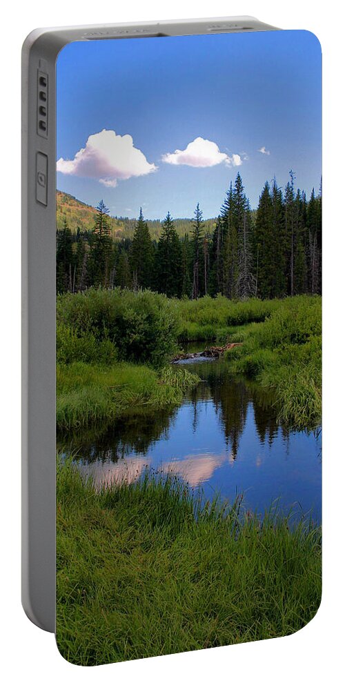 Lake Portable Battery Charger featuring the photograph Cottonwood by Kristin Elmquist
