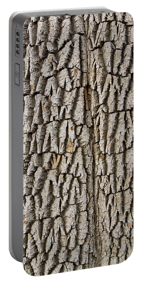 Texture Prints Portable Battery Charger featuring the photograph Cottonwood Tree Texture Print by James BO Insogna
