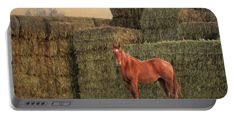 Stack Portable Battery Charger featuring the photograph Country Buffet by Lori Deiter