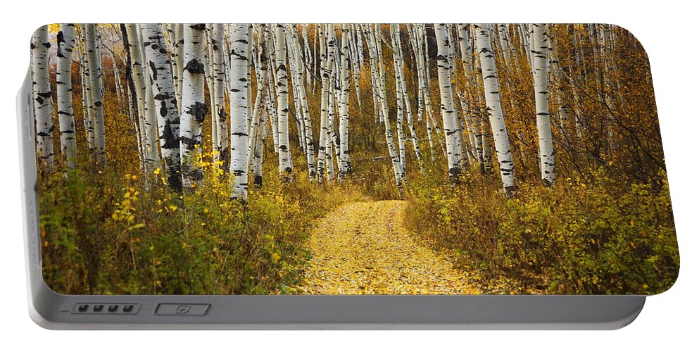 Amid Portable Battery Charger featuring the photograph Country Road and Aspens 2 by Ron Dahlquist - Printscapes
